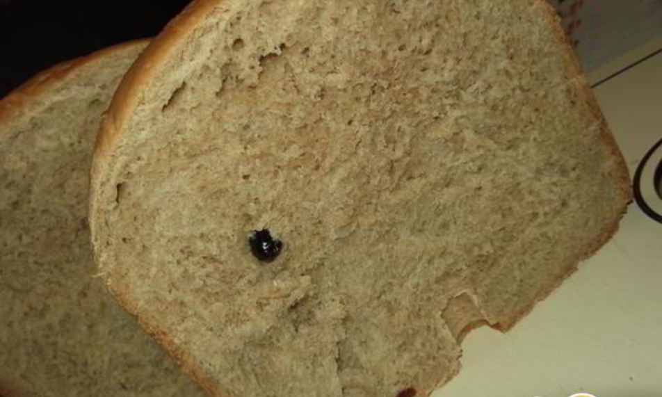 Рецепт хлеб с пшеничной цельнозерновой мукой