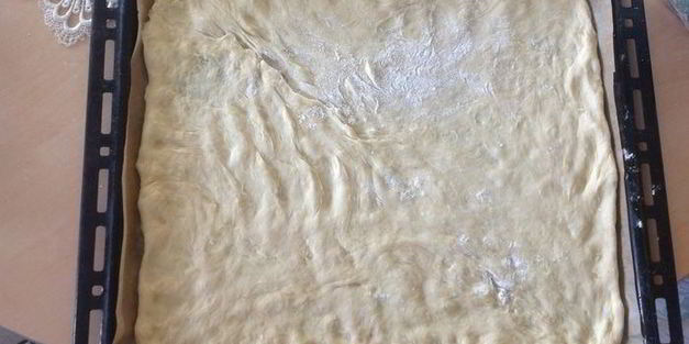 латышский ревеневый плоский хлебушек