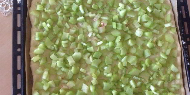 латышский ревеневый плоский хлебушек