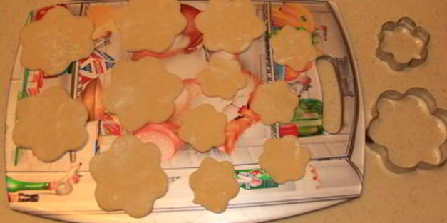 хворост зимние цветы