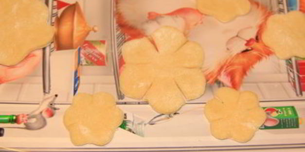 хворост зимние цветы