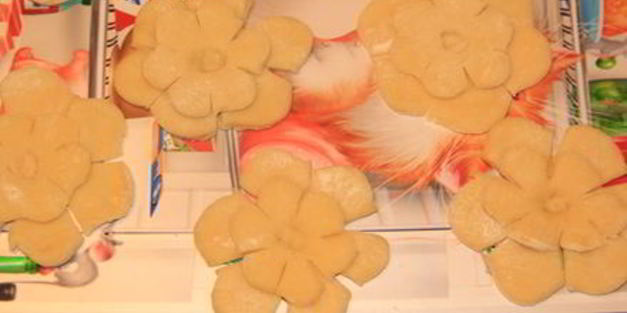 хворост зимние цветы