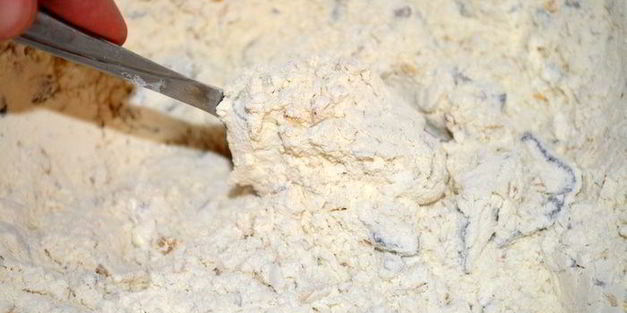 бездрожжевая кефирная лепешка с фундуком и черносливом