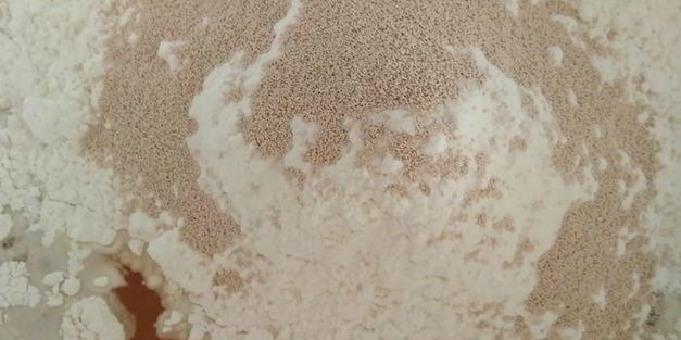 фокачча чиполлино