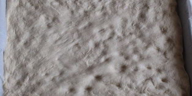 фокачча писсаладьер