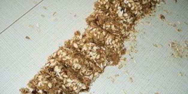 овсяные хрустящие лепешки