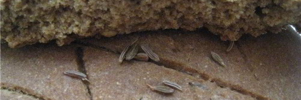 Постные ржаные лепешки