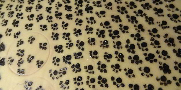 маффины леопардовые лапки