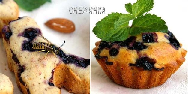 маффины с черникой и миндалем