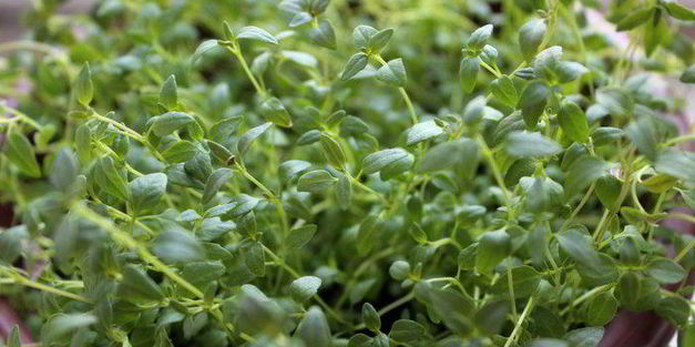 закусочные яичные маффины