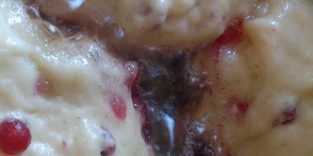 оладьи дрожжевые с красной смородиной