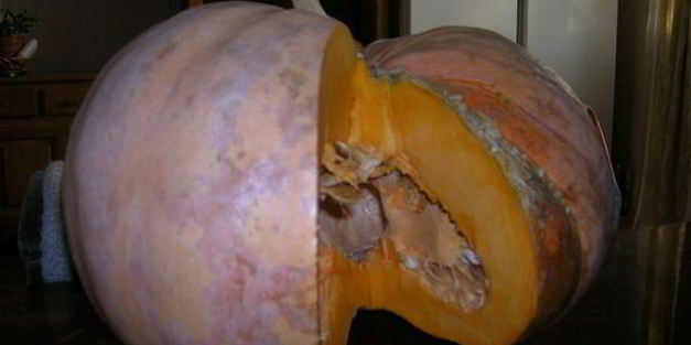 оладьи из тыквы