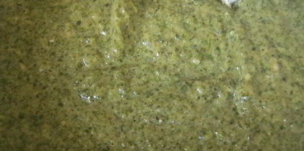 силка — оладьи из свекольной ботвы