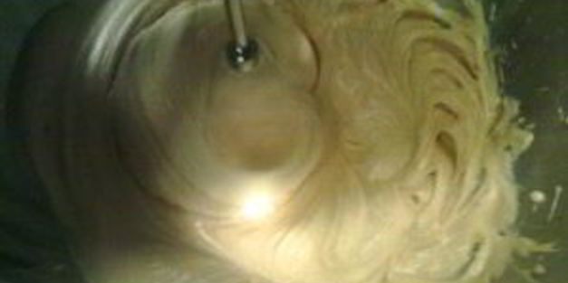 имбирное печенье на рождество