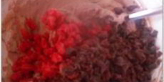 шоколадное печенье с вишней