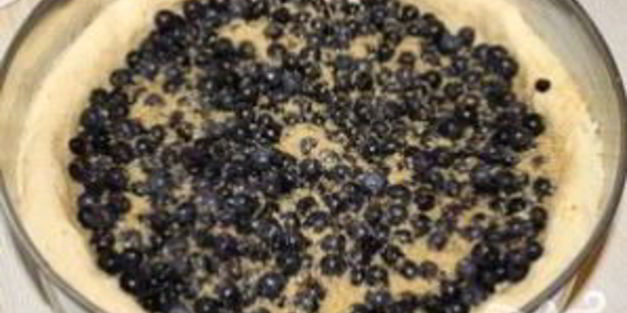 пирог с черникой и сметаной