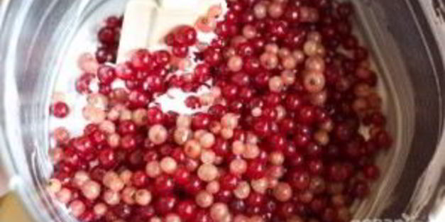 пирог смородиновый