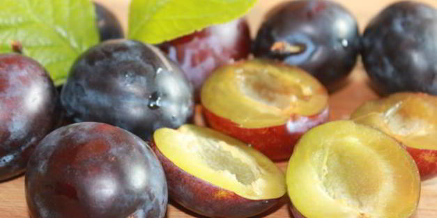 сливовый пирог с ванильной заливкой