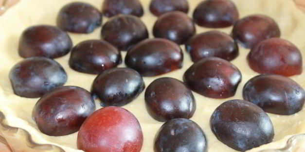 сливовый пирог с ванильной заливкой