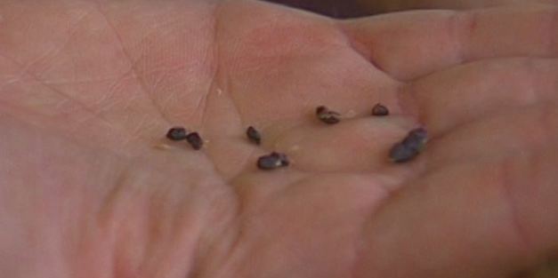 пирожки с изюмом