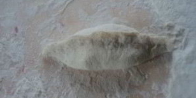 пирожки с квашеной капустой жареные