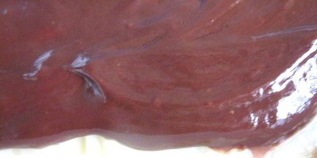 пирожное без выпечки