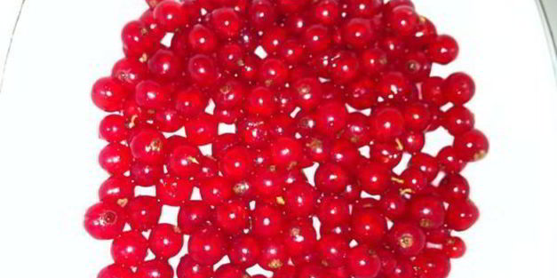 пирожное летняя сказка со смородиной