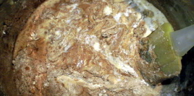 пирожное яблоко евы