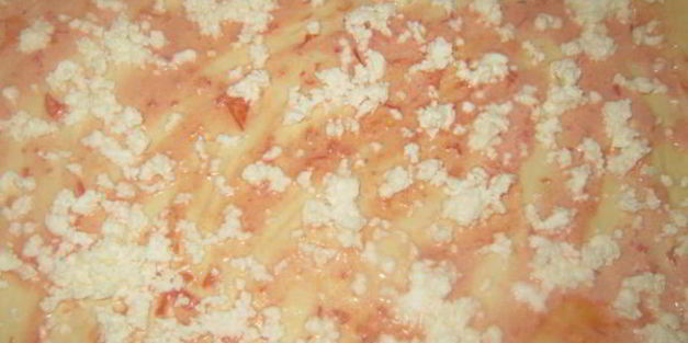 пицца на домашнем дрожжевом тесте