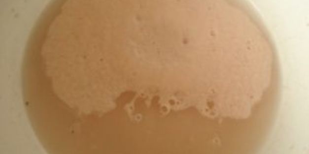 пицца с колбасой и пицца с морепродуктами