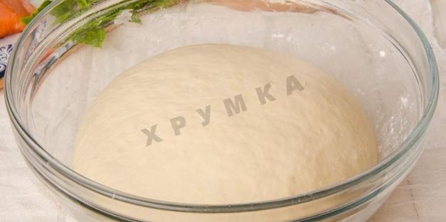 пицца с красной рыбой семгой на дрожжевом тесте