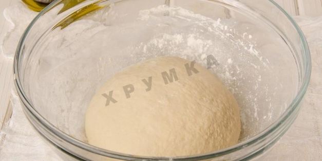 пицца с красной рыбой семгой на дрожжевом тесте