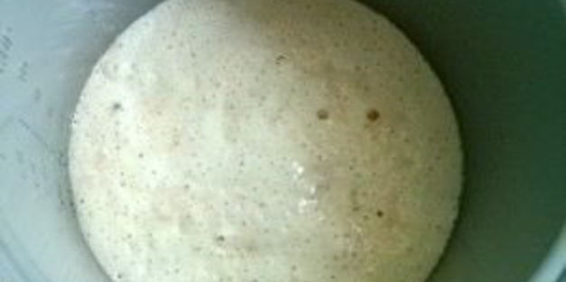 опарное дрожжевое тесто