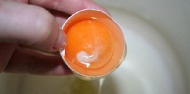 тесто для пиццы на молоке