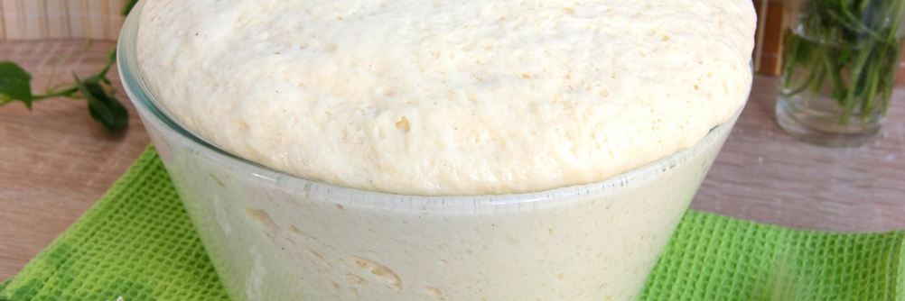 Тесто для ватрушек на сухих дрожжах