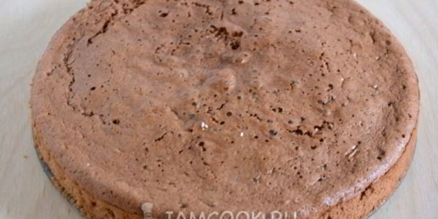 шоколадный бисквит с кофейным ликером