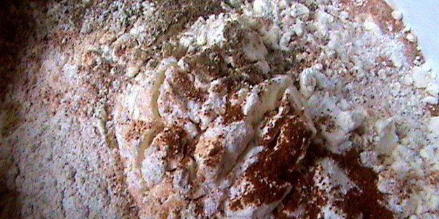 торт пьяный апельсин