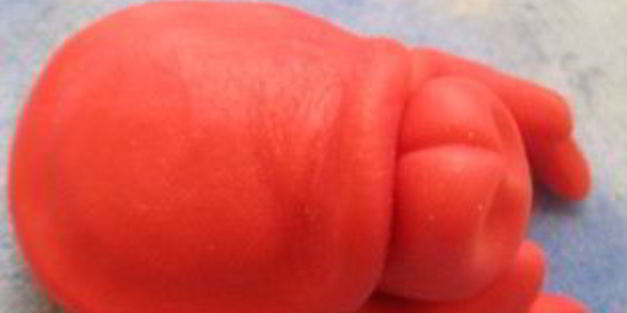 торт русалочка