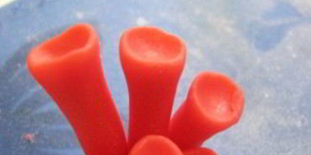 торт русалочка