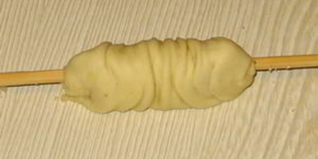 турецкая пахлава