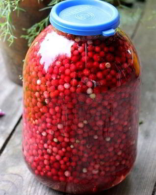 Брусника моченая на зиму