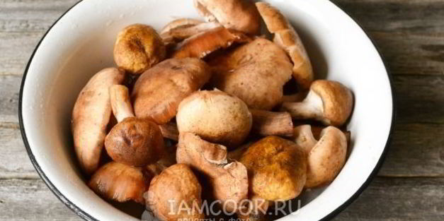 икра из опят с чесноком на зиму