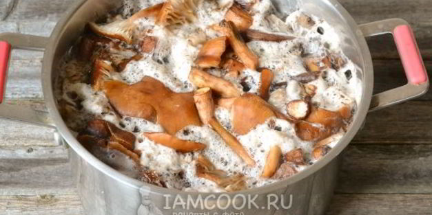 икра из опят с чесноком на зиму