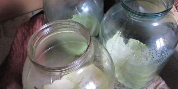 капуста соленная на зиму