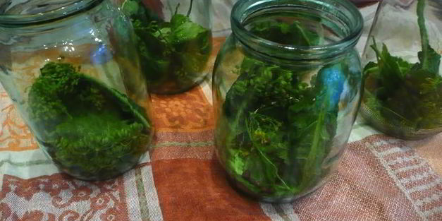 кисло-сладкие огурцы в банках без уксуса