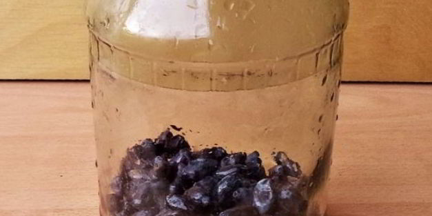 компот из жимолости