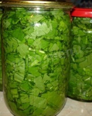 Консервированный щавель на зиму