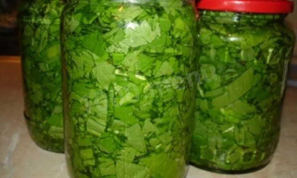 Рецепт консервированный щавель на зиму