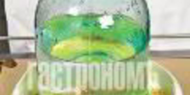 квашеная капуста с клюквой