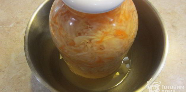 квашенная капуста